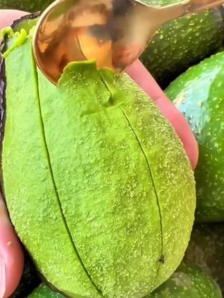 这个牛油果品质真的超赞!终于可以用它来做漂亮饭了! #牛油果 #哈斯牛油果 #优质农产品