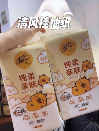 天呐!!囤纸大户赶紧冲,整整10大提,到手才这个价#清风联名卡皮巴拉 #家庭用纸 #清风抽纸