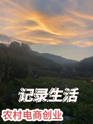 #我的乡村生活 #抖音新农人 #辣椒🌶 #乡村田园生活 #云南小雀椒