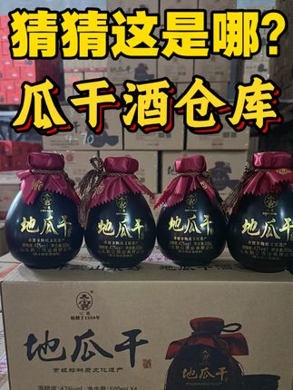 风里雨里我在瓜干酒仓库等你#传统工艺酿酒 #快来看看 #原创视频 #好喝不贵 #品酒