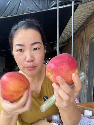 只要你吃了一次这种苹果,以后你就会一直吃这种苹果 #口感特别好 #脆甜多汁 #快来一起尝个鲜