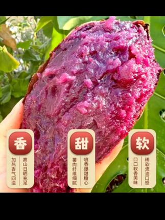 【送菌汤包】高山黑美人紫薯农家自种甜糯纤维粗粮代餐老少皆宜红薯