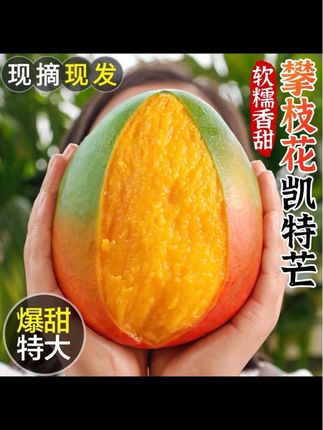 【产地直发】凯特芒果四川攀枝花产地直发当季新鲜水果#新鲜采摘 #脆甜多汁 #口感特别好 #软糯香甜 #优质农产品