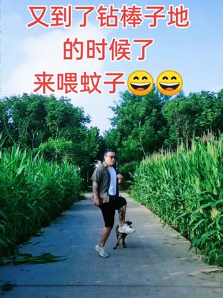 #生命在于运动一起锻炼吧 #田间地头走一走 少睡点觉,早起活动活动😄#风景优美空气清新 #生命在于运动健康在于行动