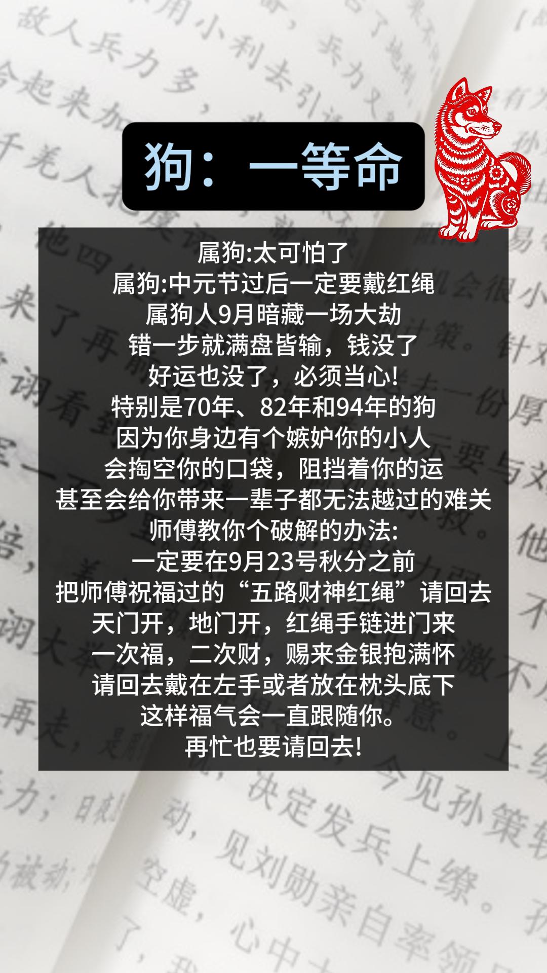 #狗 #属狗 #生肖狗