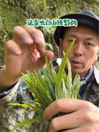 长白山大自然好物多多#长白山 #长白山特产