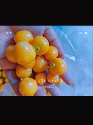 给大家推荐一款好吃的水果,东北姑娘果#dov上热门