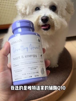 胆小脾气大,或者是上了年纪的狗狗,一定要早点养护心心,唯特适大品牌技术研发成熟可以放心#唯特适 #科学养宠攻略 #辅酶q10