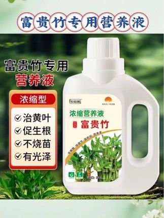 富贵竹黄叶、枯叶别焦虑,不是你养护差,是自来水养分不够~每次换水时,往水里滴几滴#富贵竹专用营养液 ,补充能量,轻松让它焕发生机!#富贵竹养护 #养护小知识 #爱生活爱养花 #绿色植物