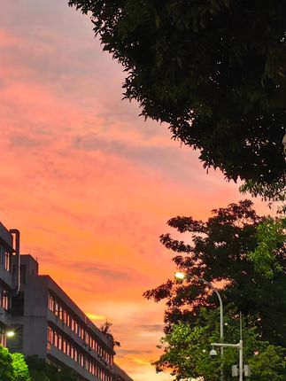 #豆腐乳 #山茶油腐乳 #美食分享 #下饭神器 #好吃不贵