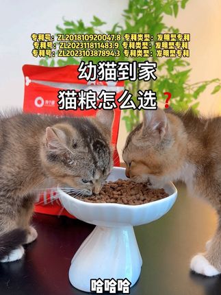 新手喂养幼猫不焦虑,第一口粮是关键!这个羊奶鲜肉幼猫粮我家几只猫咪都嘎嘎爱吃#萌宠好物 #萌宠出道计划 #科学养宠攻略 #有个圈#有个圈幼猫粮