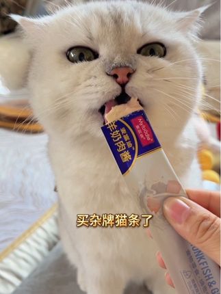 麦富迪大品牌的羊毛,真的放心入!#萌宠好物#新手养猫#猫条推荐#麦富迪