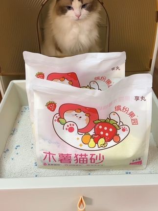 像猫砂这种消耗品,就不用选贵的#萌宠好物 #猫砂推荐 #新手养猫 @DOU+小助手