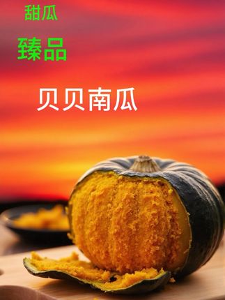 板栗小南瓜粗粮辅食#贝贝南瓜 #口感特别好价格实惠 #谁懂这一口的好吃程度 #优质农产品 #好吃不贵经济实惠
