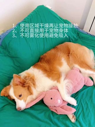 滴露也有宠物环境消毒液了。1升滴露原液可以配出80斤消毒液。一年都用不完!#滴露宠物消毒液 #宠物消毒液 #宠物消毒小妙招