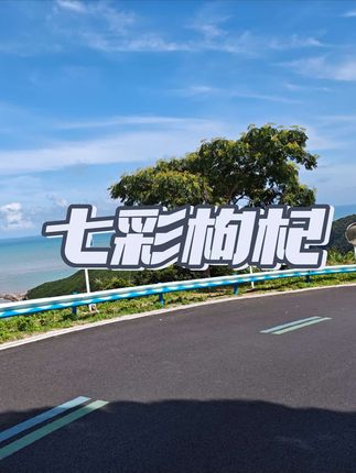 #七彩枸杞 #大自然的馈赠 #上品