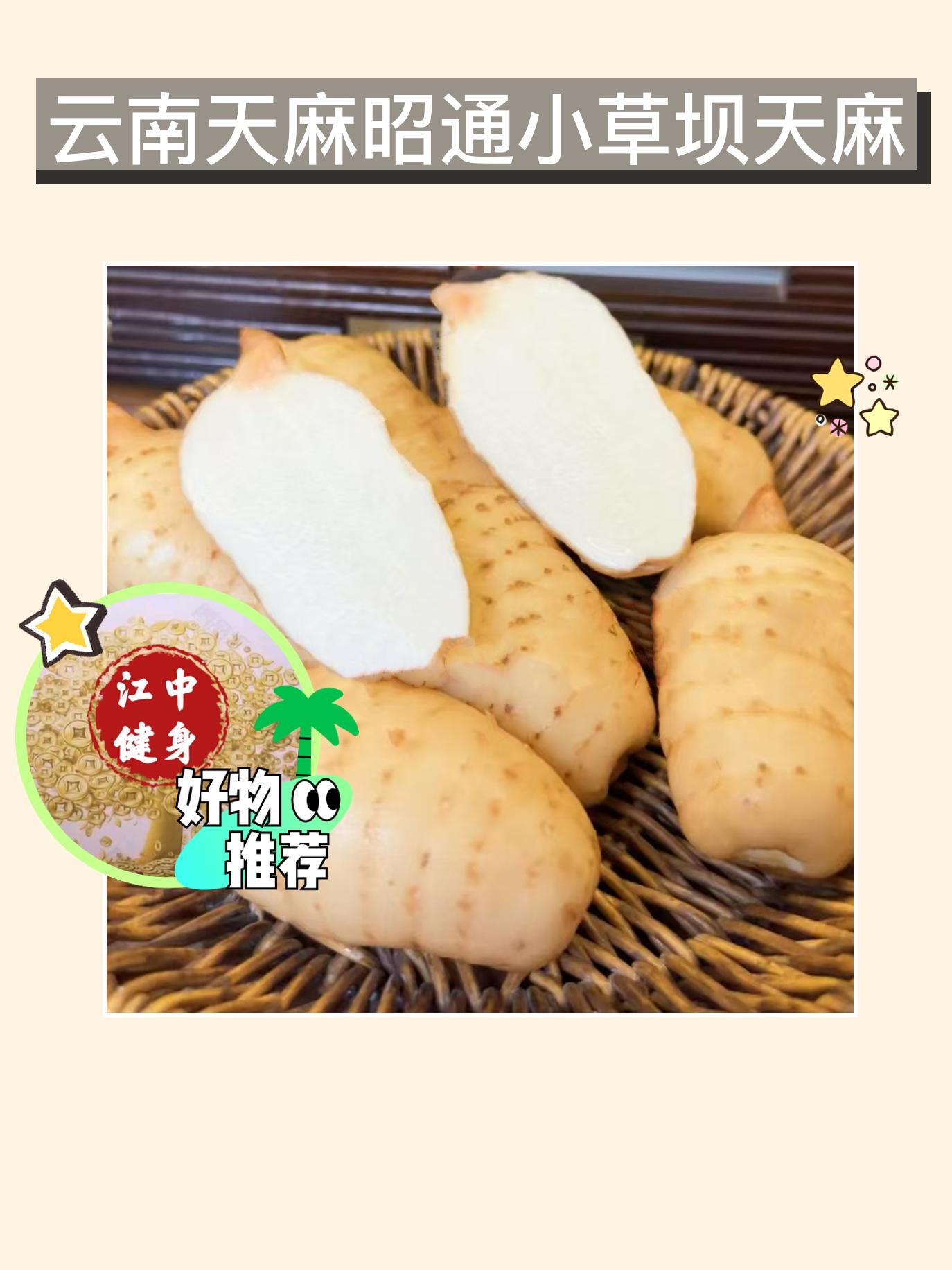 天麻煲汤,正宗新鲜好口感!🍲。你们知道吗?云南昭通的小草坝天麻可是天然的新鲜挖掘,每一根都口感独特,营养丰富,让你爱不释手!它来自高山地区,原产地直发,保留了最原始的风味。无论是炖汤还是炒菜,都会为你的餐桌增添一份特别的风味,快来一起体验这份自然的馈赠吧!#科普 #快来一起尝个鲜 #看过来 #美食 #你吃过吗