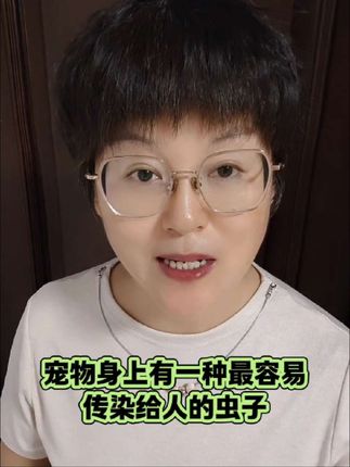 宠物身上,有一种最容易传染给人的虫子#养狗经验分享#新手养狗#科学养宠攻略