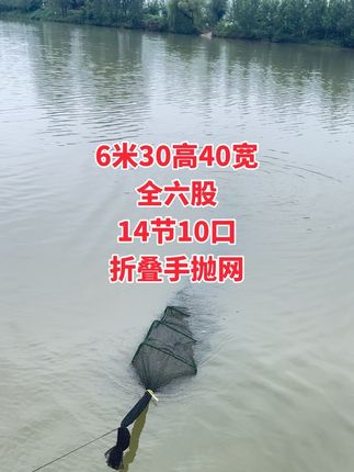 6米30乘40全六股#渔网捕鱼 #捕鱼网 #捕捞 #户外捕鱼视频 #鱼笼