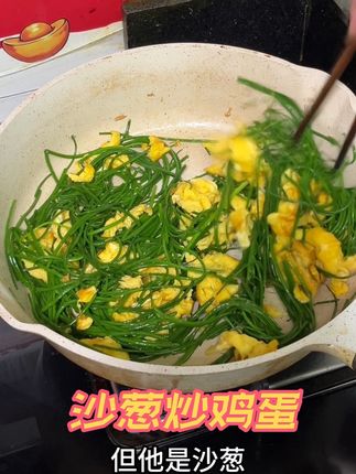 沙葱炒鸡蛋真的好吃,这要是葱炒的我可不爱吃 #甘肃特产 #民勤沙葱 #沙漠绿洲 #太好吃了 #沙葱