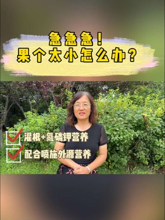 果个偏小怎么办?果个膨大正当时#三农 #果个膨大 #