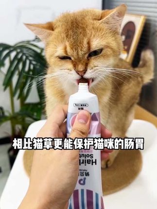 晚上回家喂猫咪,吃了几口,第二天就看到猫咪在排毛球,朋友都好奇我喂的是什么,其实就是这个益生菌化毛膏,它里面富含膳食纤维,可以促进肠胃蠕动,帮助猫咪。和排毛还添加了益生菌和鱼油,益生菌可以呵护肠胃,鱼油美毛亮毛,而且适口性好。猫咪爱吃排毛,美毛呵护肠胃,一只就搞定了。#养猫新手 #化毛膏#排毛球化毛膏 #科学养宠 #猫零食