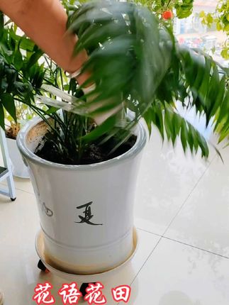 #花盆通风管加快干湿循环