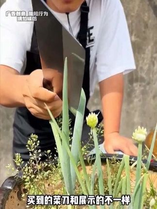 姐妹们,你们让我找的斩切两用刀给你们找来了,你们看满意不满意?#菜刀