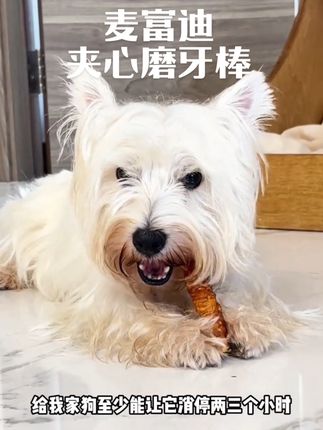 狗狗超爱的夹心磨牙棒!给一根可以消停很久哈哈哈哈非常消耗精力#新手养狗 #养狗好物 #狗狗磨牙 #狗狗磨牙棒 #狗零食