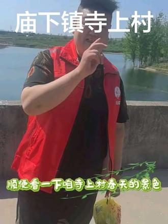 #乡村生活 今天去寺上村送饭,无人机升空的那一刻,我眼睛一下子亮了——在庙下镇跑了这么久,竟不知道身边藏着这般风景。
远处青山如黛,绿叶层叠;近处水库澄澈,村舍错落。从空中俯瞰,整个寺上村像嵌在山间的一颗明珠,格外耀眼。
原来最美的风景,一直在路上。送的不只是饭,还有这份意外的惊喜。#庙下镇小镇外卖