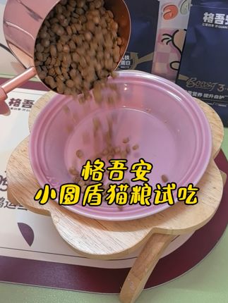 猫咪爱吃的优质好猫粮#格吾安猫粮 #养猫新手 #科学喂养