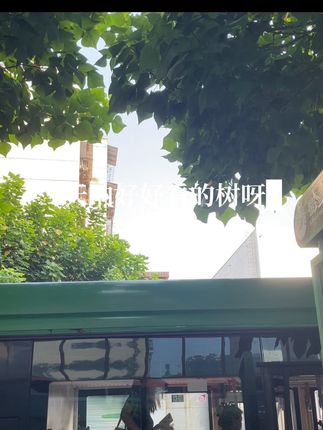 #考研 #微老师的考研vlog 今天是#陪伴 系博主#电子女友 哈哈啊哈哈哈哈哈 好玩嘿! 老师们早老师们再见 我的意思是 老师们大后天见