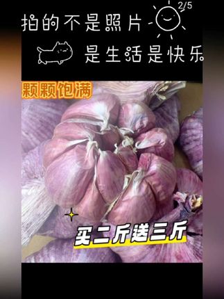 云南紫皮多瓣香酥#紫皮大蒜头 #蒜头