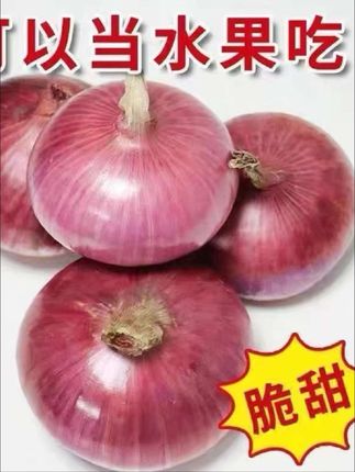 新鲜现挖水果扁洋葱蔬菜扁红洋葱脆甜生吃微甜水果洋葱#爆款热卖中 #超好吃 #优质农产品 #水果洋葱 #洋葱 @抖加🔥上热门🔥dou+🔥热点宝 @DOU+上热门 @DOU+小助手