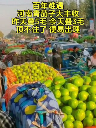 生活不止诗和远方,还有家乡的美食#茄子#青茄子 #优质农产品 #新鲜采摘 #优惠活动火爆进行中 @抖加🔥上热门🔥dou+🔥热点宝 @DOU+小助手