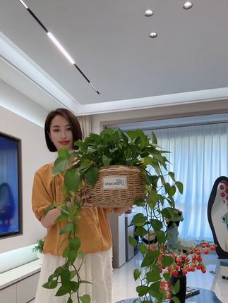 人靠衣装,花靠盆装,手工编织,里面有隔水膜,固定支撑不易变形、这个草编花篮真的太温馨了#软装搭配#手工编织花盆#花篮#草编花篮
