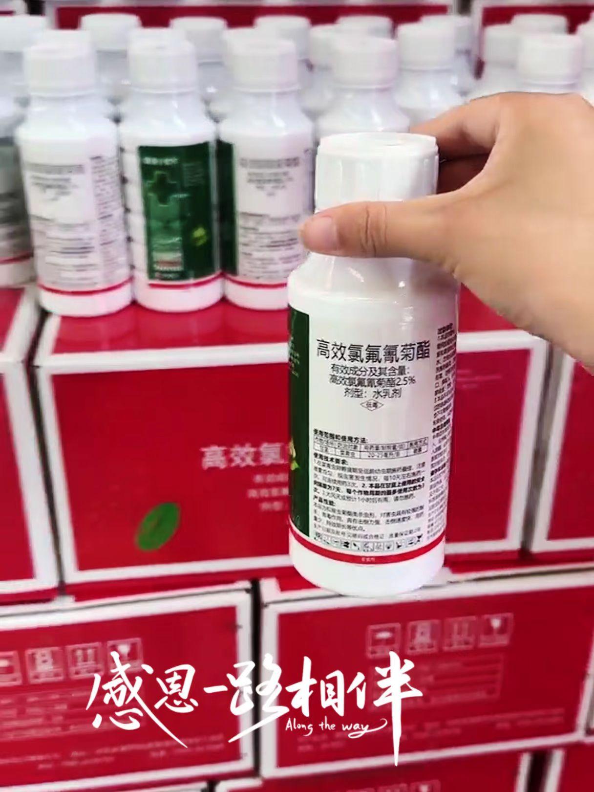 #种地人闭眼入!高效氯氟氰菊酯农友们,害虫横行,庄稼减产风险大增?别怕!高效氯氟氰菊酯强势救场。 蚜虫、蓟马、食心虫等,遇上它只有"凉凉"的份儿。击倒速度快,害虫瞬间"躺平",持效期长,给农作物持久保护。 使用便捷,稀释后均匀喷雾就行。守护丰收就靠它,赶紧囤起来,别让害虫再嚣张! #高效氯氟氰菊酯#农业杀虫必备#保产增收#服务三农支持三农#功夫菊酯杀虫剂