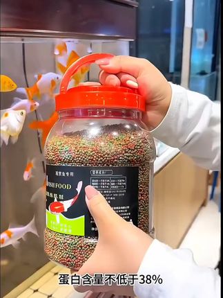 #锦鲤鱼饲料鱼食 #锦鲤鱼饲料 #鱼食 #鱼粮 #渔具用品