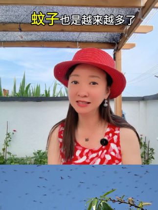 夏季户外/居家如何驱蚊,森林地带驱蚊液太好用了 #好物推荐 #好物分享 #户外驱蚊 #驱蚊液 #驱蚊液推荐