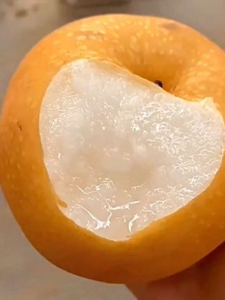 莱阳秋月梨,每一个都很大,皮薄肉厚,果肉细腻,汁水满满,纯甜无渣,真的巨好吃!#应季水果 #新鲜采摘 #脆甜多汁皮薄肉厚 #要吃的快来哟