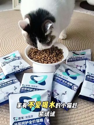 平时贵贵的澳龙泌尿呵护粮也有试吃羊毛了,家有嘘嘘问题的小猫赶紧试试#猫粮#澳龙泌尿呵护粮#新手养猫#公猫