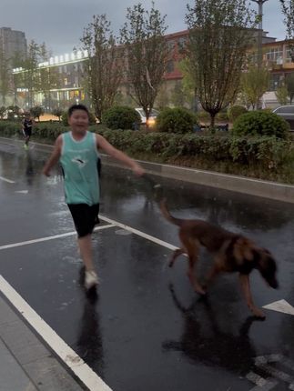 我现在的养生方式除了跑步就是少跟别人接触,让自己的生活想法尽可能的简单一点#你知道吗#红薯在跑步#狗是人类最忠诚的朋友