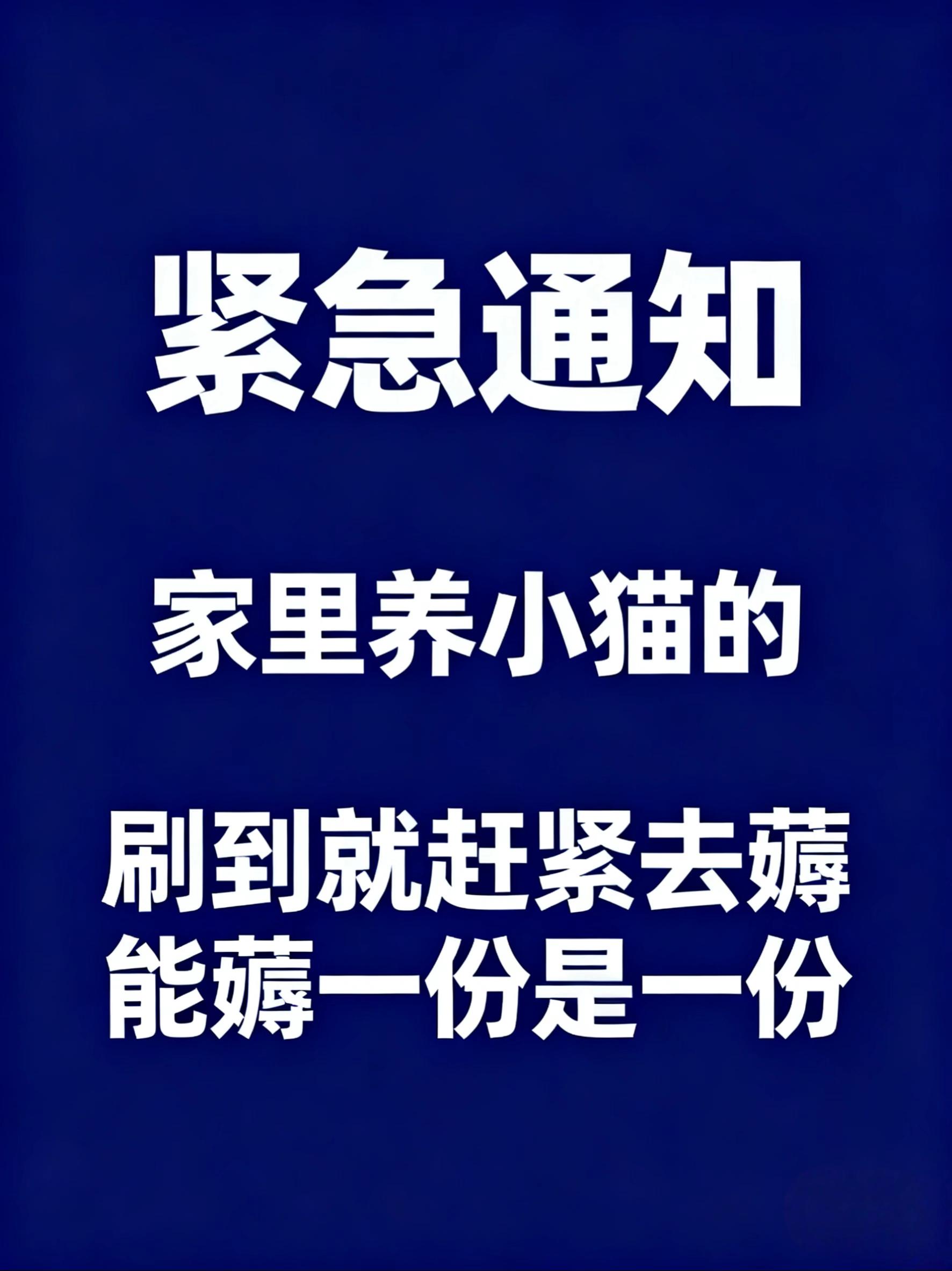 每人限购一单,刷到就赶紧去拍#萌宠好物 #养猫人 #养猫新手 #猫咪