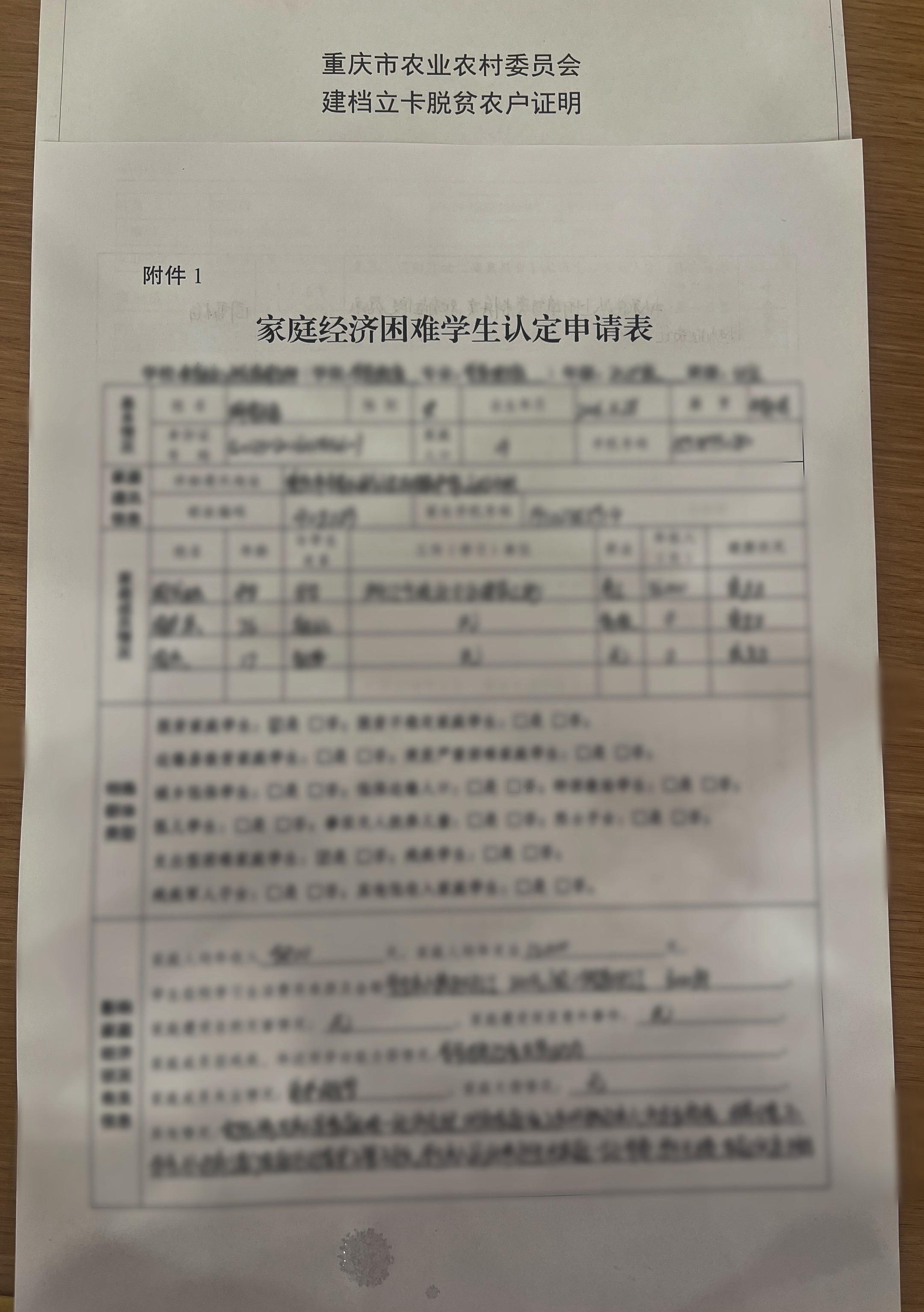 每年的困难申请表都是你对于家里的罄竹难书#父亲