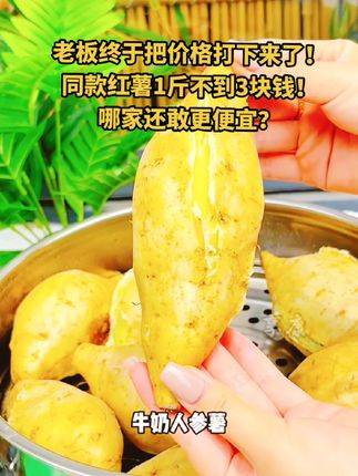 老板终于把#牛奶人参薯 的价格打下来了,超实惠,性价比超高,都赶紧来试试吧!#软糯香甜 #超好吃 #良心推荐