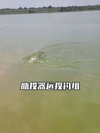 用助投器远投搭配卡罗拉钓组,解锁米级翘嘴不是梦,轻松抛投一百米,钓流水区域嘎嘎好使#助投器 #路亚助投器 #路亚助投器连接方法 #路亚远投 #路亚翘嘴技巧