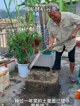 改善土壤板结,增加土壤有机质#强烈推荐