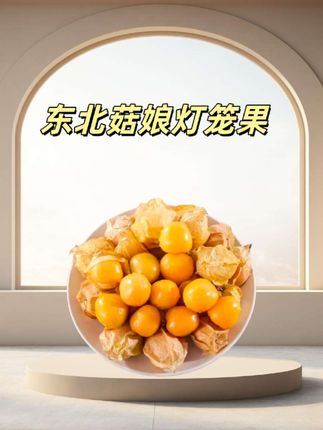 家人们!东北小姑娘果,是小果哦,脆甜奶香。#菇娘果 #灯笼果 #优质农产品