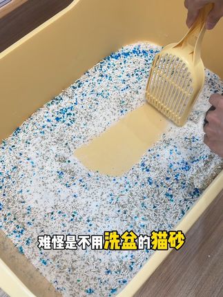 四包妮可露木薯砂到手也才50多,这也太划算了吧#木薯猫砂 #性价比猫砂推荐 #妮可露猫砂