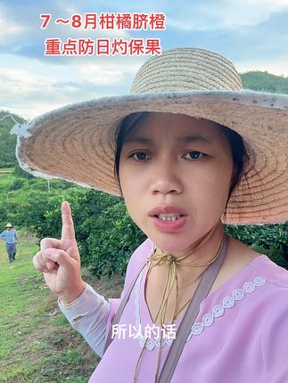 7 ~8月份重点保果防晒!防晒最有效、果面最干净的办法,就是贴纸!防晒贴的话咱们用的这款不错、风吹不走、雨淋不烂、不伤果面!两层的防晒效果非常的好哈!需要点视频下面小黄车#三农种植 #柑橘种植 #自家果园 #种植小技巧 #果园管理 @DOU+小助手 @抖音创作小助手